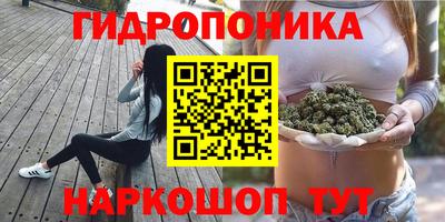 ГАЛЛЮЦИНОГЕННЫЕ ГРИБЫ Бузулук