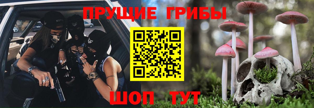 Галлюциногенные грибы Cubensis  Вход с VPN  Петропавловск-Камчатский 